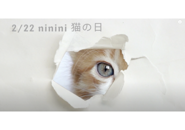 工商一下，貓奴必備商品
