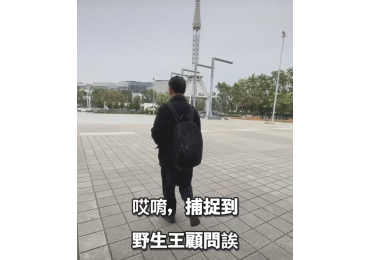 💯2025團購變現術：破解爆單技巧，月銷百萬不是夢！