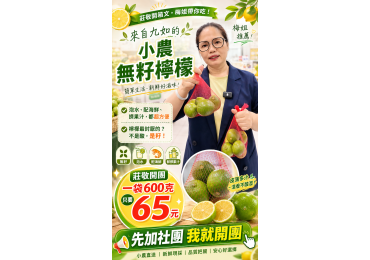 ‼️ #莊敬全台快閃團，#梅姐帶你團 ‼️ 🍋 九如小農現採無籽檸檬，一袋約600g只要 **$65元** 👋「你們知道，檸檬最討厭的是什麼嗎？」 不是酸，**是籽！**🤣 🔥 活團快訊｜九如檸檬開採啦 🔥 產地新鮮直送，現採、現