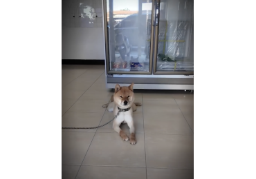 (圖)📍✨ 今日來到湖內 ✨📍 一個位在 台南 × 高雄交界 的小城市。 🔄 街景轉來轉去都差不多，☀️ 天氣卻好得不像 12 月 🍜 途中還誤闖一間 沒招牌卻 4.7⭐ 的麵店 💰 份量跟價格完全不成正比飽到扶牆出來。 總結 👉 湖