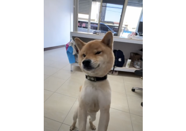 (圖)📺✨ 歡迎收看《JJ TV 特派報導》✨📺 今天，小編出差來到—— 📍 湖內 🚘 一個位在 台南 × 高雄交界 的小城市。 而且先說， 湖內有一個都市傳說等級的存在👇