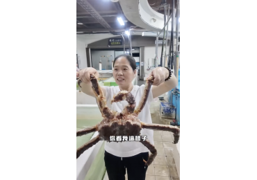 (圖)🎬✨ **【梅姐出任務 EP.1｜新鮮直擊瓏豐水產🐟】** 🔥 梅姐出任務！第一集正式登場啦～🔥