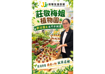 (圖)🌵 【莊敬梅姐出手了！這次不只幫你挑，還直接幫你搬！】😂 以前梅姐幫你選、幫你挑，   現在連搬都幫你搬進門市啦！💪 最近發現團友們真的很愛多肉植物！🪴