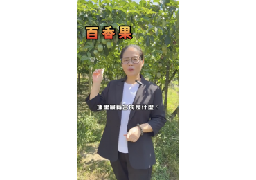 (圖)🍋 【產地直奔｜梅姐幫你挑！】 🚗💨 想吃產地新鮮百香果，難道一定要自己跑一趟埔里嗎？ 🤔