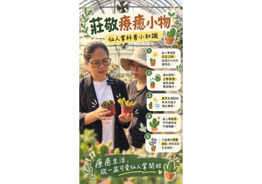 (圖)🌵 【連假最後一天，梅姐繼續上課啦！】 🪴📚 別人連假忙著休息，梅姐連假忙著進修！🤣 這次來到滿滿綠意的多肉植物溫室，跟著專家一起研究各種可愛的仙人掌！🌿